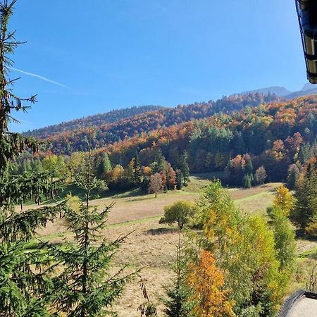 Akra Apartment Zakopane Bagian luar foto
