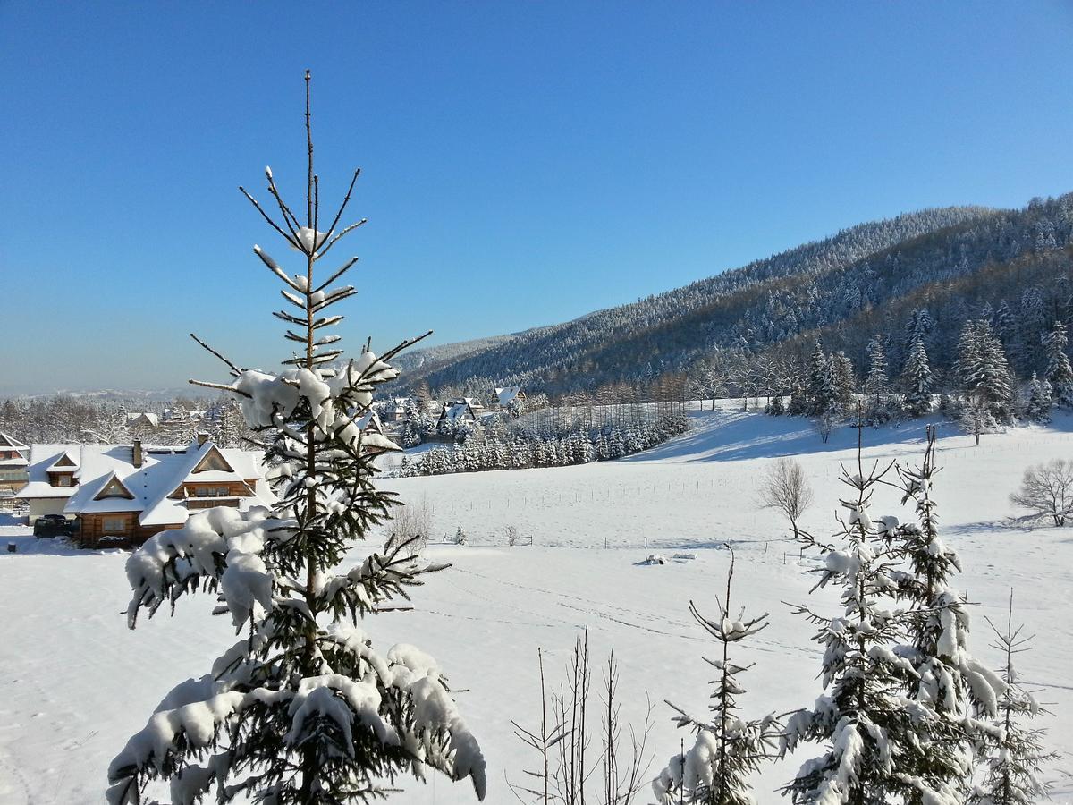 Akra Apartment Zakopane Bagian luar foto