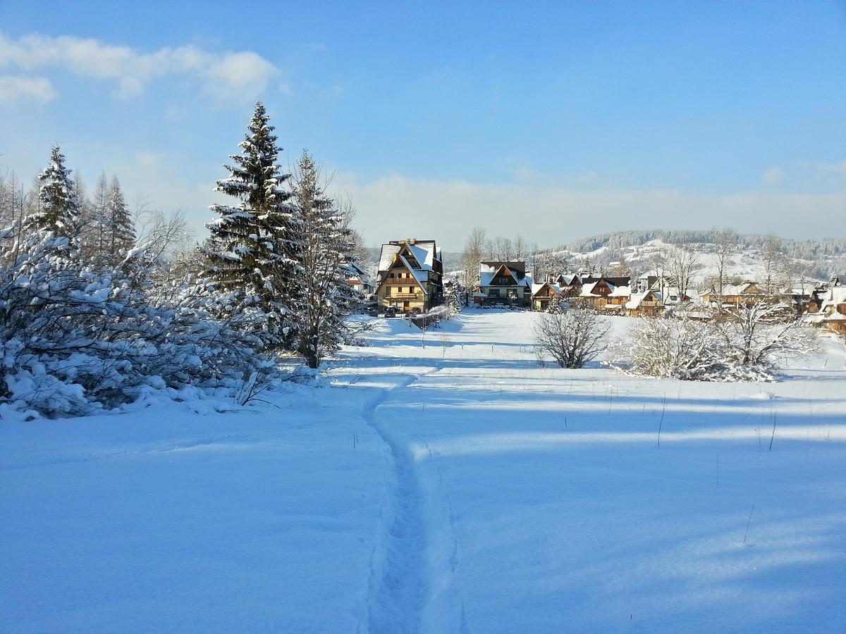 Akra Apartment Zakopane Bagian luar foto